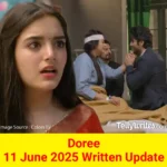 Doree Colors TV Show Written Episode Updates in Hindi