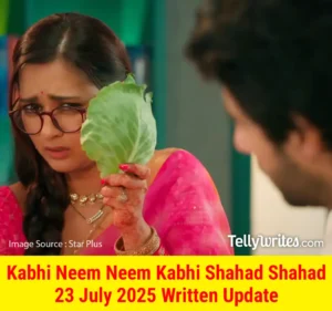 Kabhi Neem Neem Kabhi Shahad Shahad 23 July 2025 Written Update