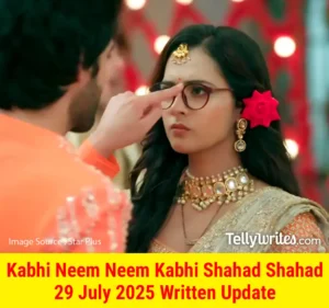 Kabhi Neem Neem Kabhi Shahad Shahad 29 July 2025 Written Update